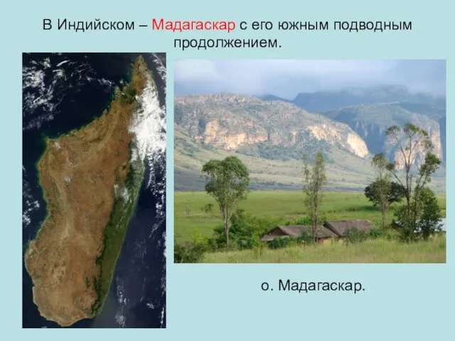 В Индийском – Мадагаскар с его южным подводным продолжением. о. Мадагаскар.