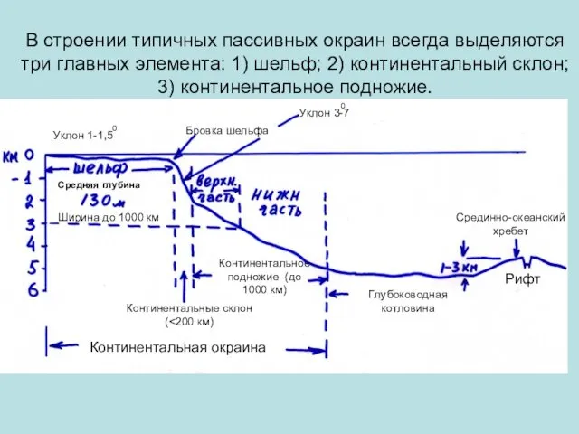 В строении типичных пассивных окраин всегда выделяются три главных элемента: 1)