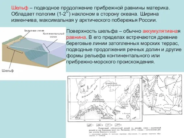 Шельф – подводное продолжение прибрежной равнины материка. Обладает пологим (1-2 )