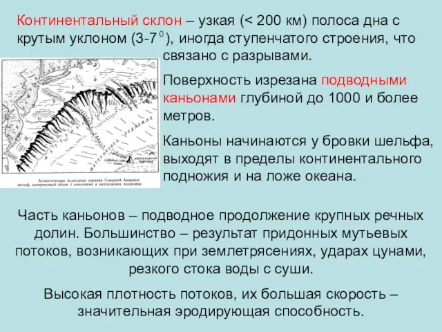 Континентальный склон – узкая ( связано с разрывами. Поверхность изрезана подводными