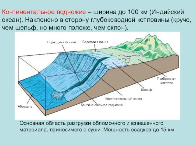 Континентальное подножие – ширина до 100 км (Индийский океан). Наклонено в