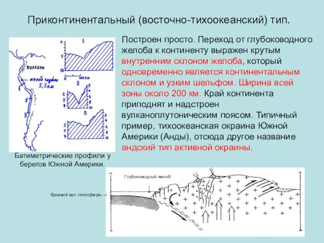 Приконтинентальный (восточно-тихоокеанский) тип. Батиметрические профили у берегов Южной Америки. Построен просто.