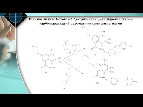Взаимодействие 6-этокси-2,2,4-триметил-1,2-дигидрохинолин-8-карбогидразида 4b с ароматическими альдегидами