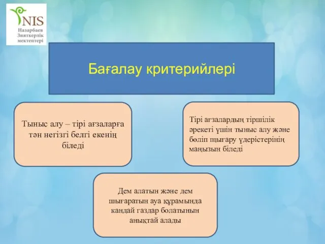 Бағалау критерийлері Тыныс алу – тірі ағзаларға тән негізгі белгі екенің