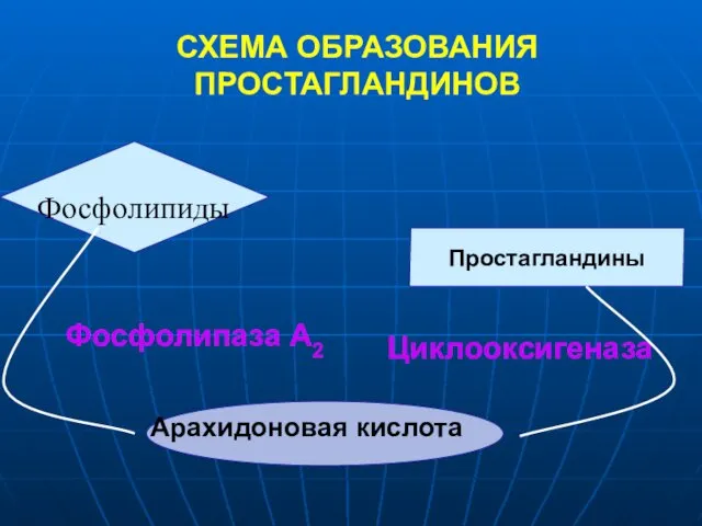 Простагландины СХЕМА ОБРАЗОВАНИЯ ПРОСТАГЛАНДИНОВ Фосфолипиды Фосфолипаза А2 Циклооксигеназа Арахидоновая кислота