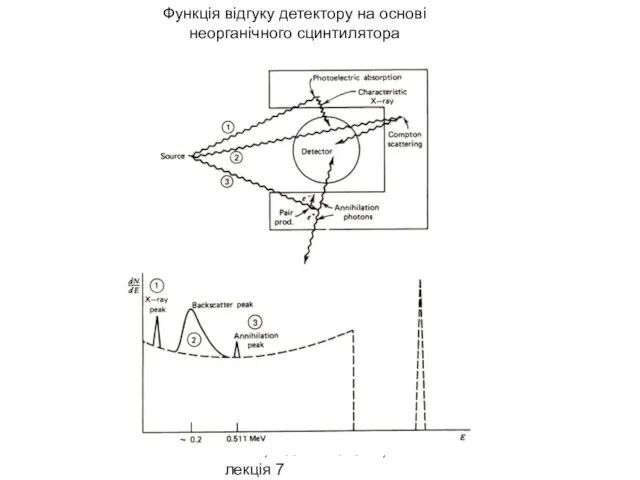 МРІВ, Безшийко О.А., лекція 7 Функція відгуку детектору на основі неорганічного сцинтилятора