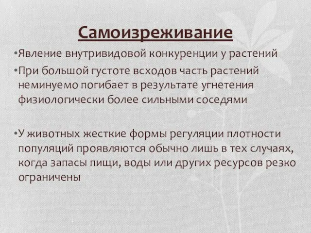 Самоизреживание Явление внутривидовой конкуренции у растений При большой густоте всходов часть