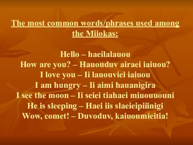 The most common words/phrases used among the Miiokas: Hello – haeilalauou