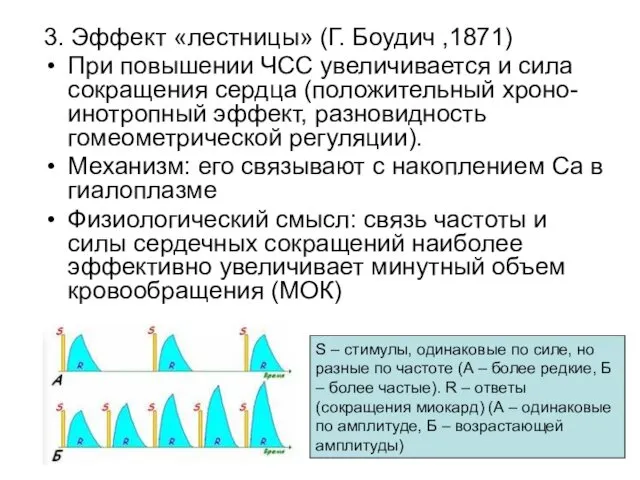 3. Эффект «лестницы» (Г. Боудич ,1871) При повышении ЧСС увеличивается и