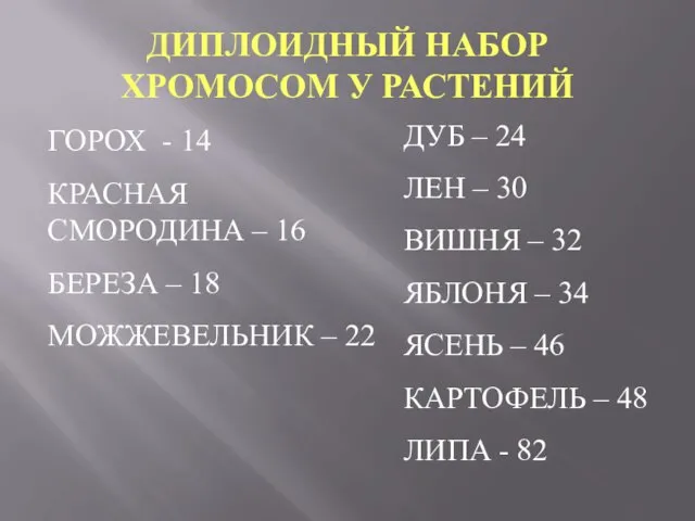 ДИПЛОИДНЫЙ НАБОР ХРОМОСОМ У РАСТЕНИЙ ГОРОХ - 14 КРАСНАЯ СМОРОДИНА –