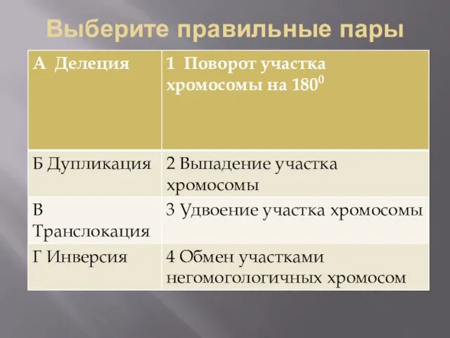 Выберите правильные пары