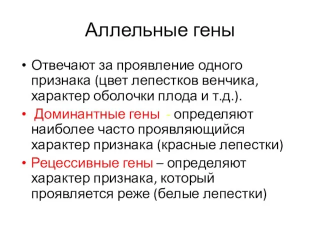 Аллельные гены Отвечают за проявление одного признака (цвет лепестков венчика, характер