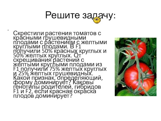 Решите задачу: Скрестили растения томатов с красными грушевидными плодами с растением