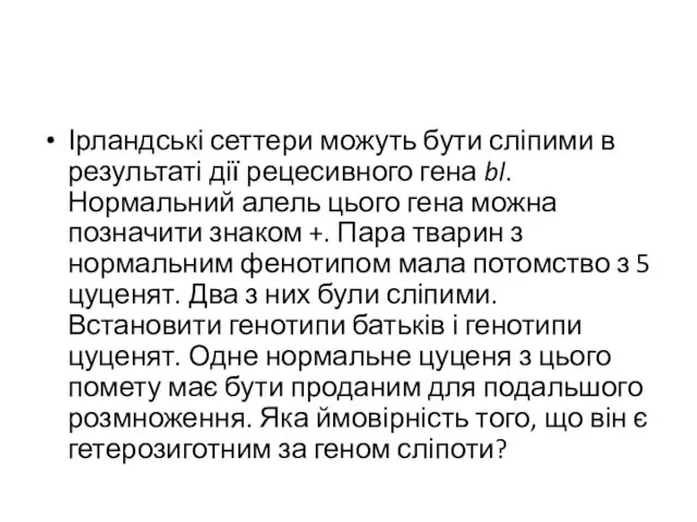 Ірландські сеттери можуть бути сліпими в результаті дії рецесивного гена bl.