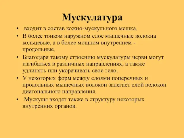 Мускулатура входит в состав кожно-мускульного мешка. В более тонком наружном слое