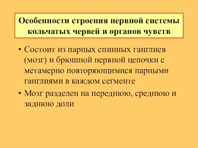 Особенности стpоения неpвной системы кольчатых червей и оpганов чувств Состоит из