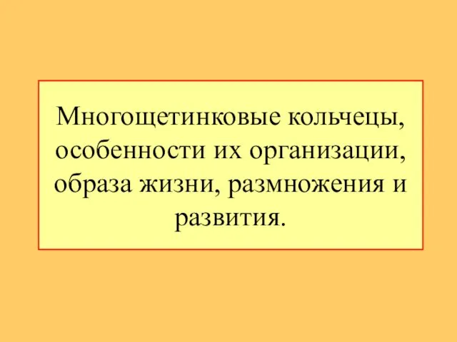 Многощетинковые кольчецы, особенности их организации, образа жизни, размножения и развития.