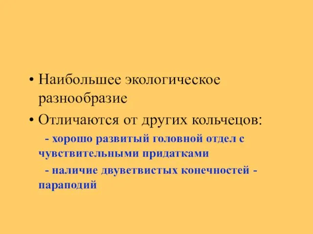 Наибольшее экологическое разнообразие Отличаются от других кольчецов: - хорошо развитый головной