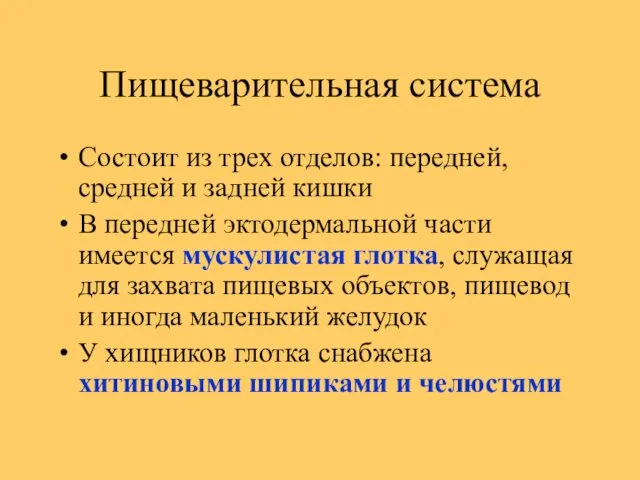 Пищеварительная система Состоит из трех отделов: передней, средней и задней кишки