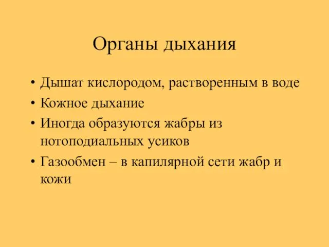 Органы дыхания Дышат кислородом, растворенным в воде Кожное дыхание Иногда образуются