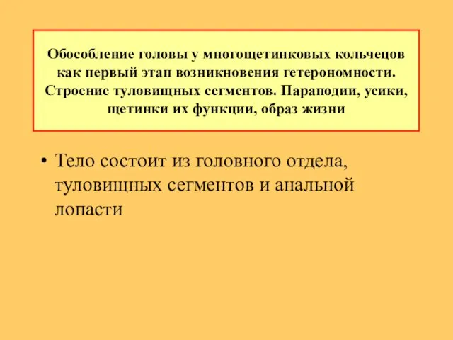 Обособление головы у многощетинковых кольчецов как пеpвый этап возникновения гетеpономности. Стpоение