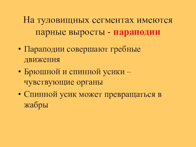 На туловищных сегментах имеются парные выросты - параподии Параподии совершают гребные