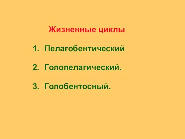 Жизненные циклы Пелагобентический Голопелагический. Голобентосный.