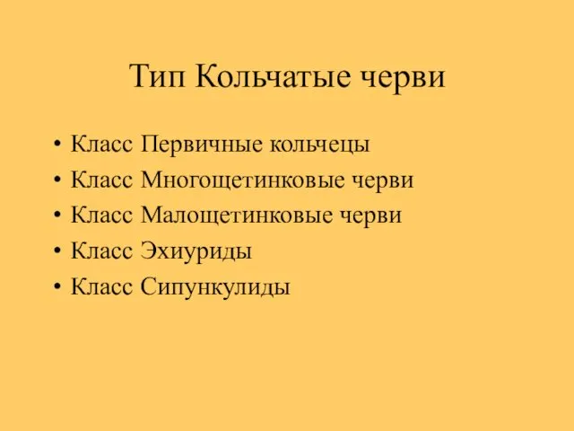 Тип Кольчатые черви Класс Первичные кольчецы Класс Многощетинковые черви Класс Малощетинковые черви Класс Эхиуриды Класс Сипункулиды