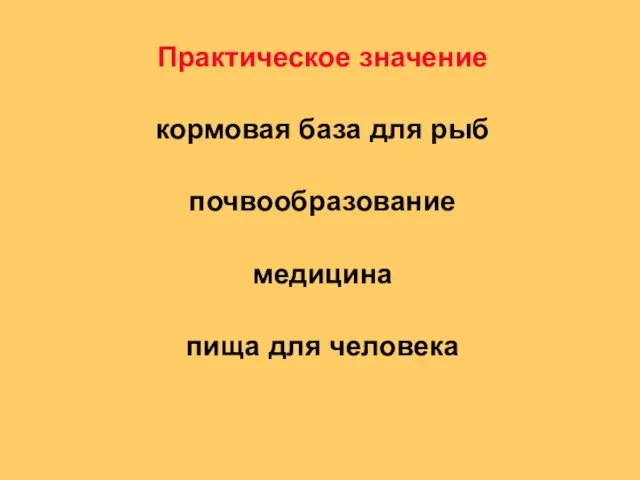 Практическое значение кормовая база для рыб почвообразование медицина пища для человека