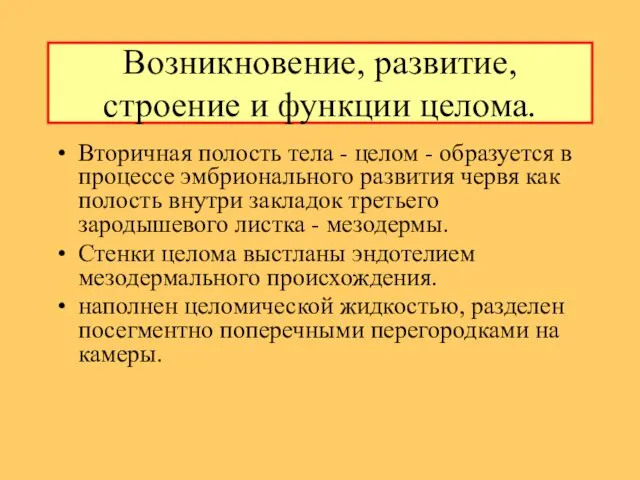 Возникновение, развитие, строение и функции целома. Вторичная полость тела - целом