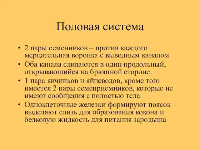 Половая система 2 пары семенников – против каждого мерцательная воронка с