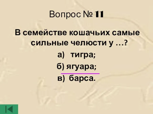 Вопрос № 11 В семействе кошачьих самые сильные челюсти у …?