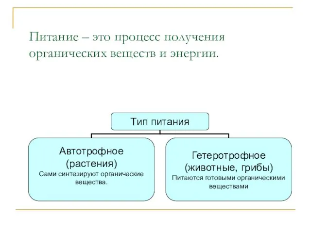 Питание – это процесс получения органических веществ и энергии.