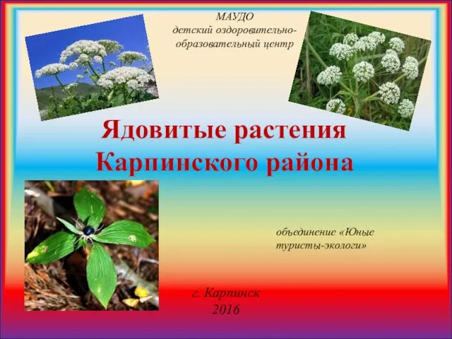 Ядовитые растения Карпинского района