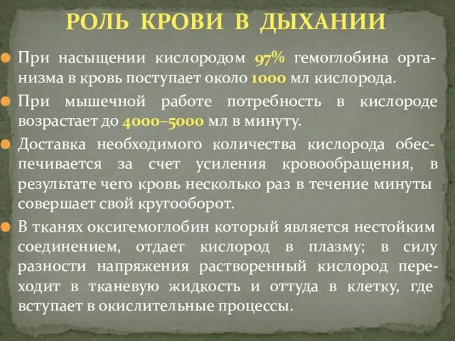 При насыщении кислородом 97% гемоглобина орга-низма в кровь поступает около 1000