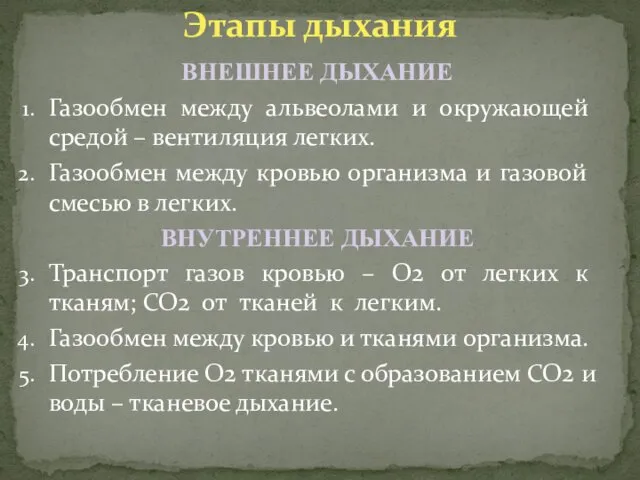 Этапы дыхания Газообмен между альвеолами и окружающей средой – вентиляция легких.