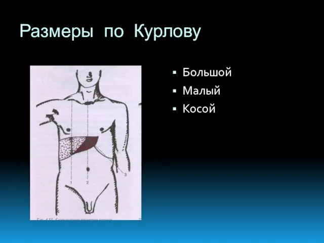 Размеры по Курлову Большой Малый Косой