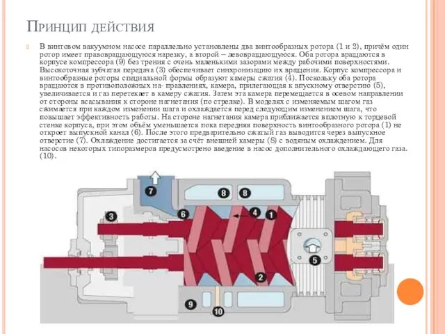 Принцип действия В винтовом вакуумном насосе параллельно установлены два винтообразных ротора