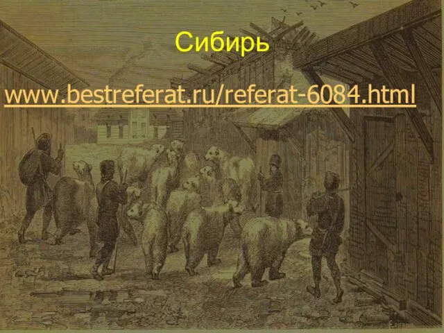 Сибирь www.bestreferat.ru/referat-6084.html