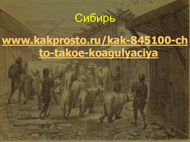 Сибирь www.kakprosto.ru/kak-845100-chto-takoe-koagulyaciya