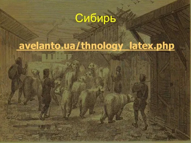 Сибирь avelanto.ua/thnology_latex.php