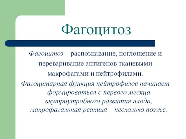 Фагоцитоз Фагоцитоз – распознавание, поглощение и переваривание антигенов тканевыми макрофагами и