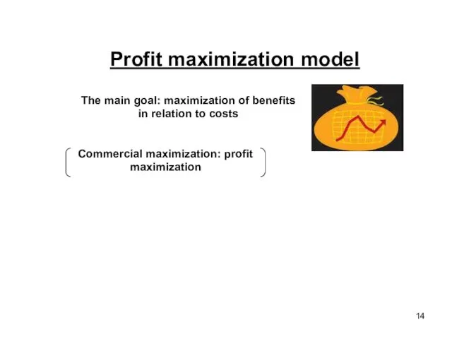 Profit maximization model The main goal: maximization of benefits in relation