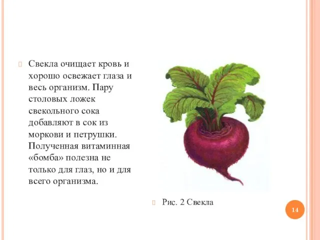Свекла очищает кровь и хорошо освежает глаза и весь организм. Пару