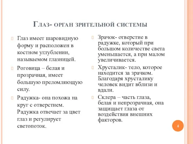 Глаз- орган зрительной системы Глаз имеет шаровидную форму и расположен в