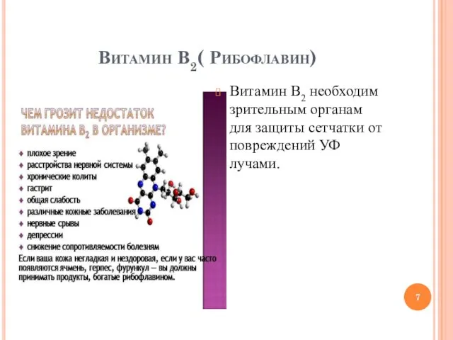 Витамин В2( Рибофлавин) Витамин В2 необходим зрительным органам для защиты сетчатки от повреждений УФ лучами.