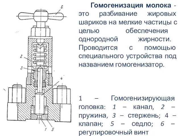 Гомогенизация молока - это разбивание жировых шариков на мелкие частицы с