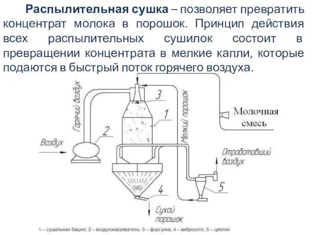 Распылительная сушка – позволяет превратить концентрат молока в порошок. Принцип действия