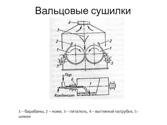 Вальцовые сушилки 1 – барабаны, 2 – ножи, 3 – питатель,