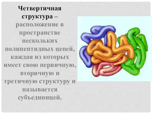 Четвертичная структура – расположение в пространстве нескольких полипептидных цепей, каждая из